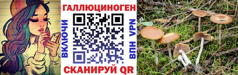 Псилоцибиновые грибы мицелий  Бородино 